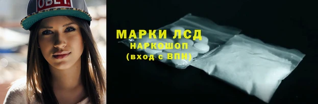 сатива Волосово