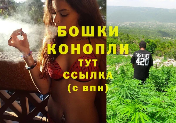 сатива Волосово